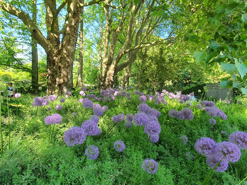 Aufstellungswochenende1